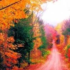 Fall events across New Hampshire