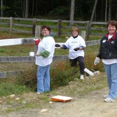 The Day of Caring was a big success!