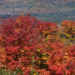 Fall Guide 2018: Previewing every fallish thing in New Hampshire
