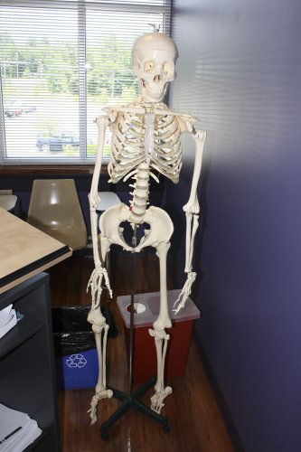 Is that Hesser College’s oldest student? No, just a skeleton used in the medical assistant program.