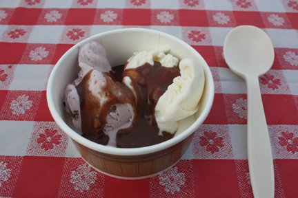 Yes, that is two different kinds of ice cream in one bowl. They treated the Insider well at the ice cream social. And chocolate sauce with peanuts in it? Is that even possible?
