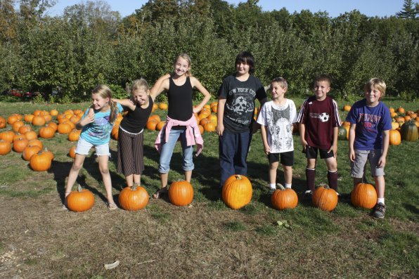 From left, Autumn Nudd, 9; Kayla Bondra, 9; Avery Bondra, 13; Nate Gourley, 11; Evan Gourley, 7; Peter Rosado, 8; and Nate Quinn, 8, showing off their personally picked pumpkins. Absolutely gourd-geous!