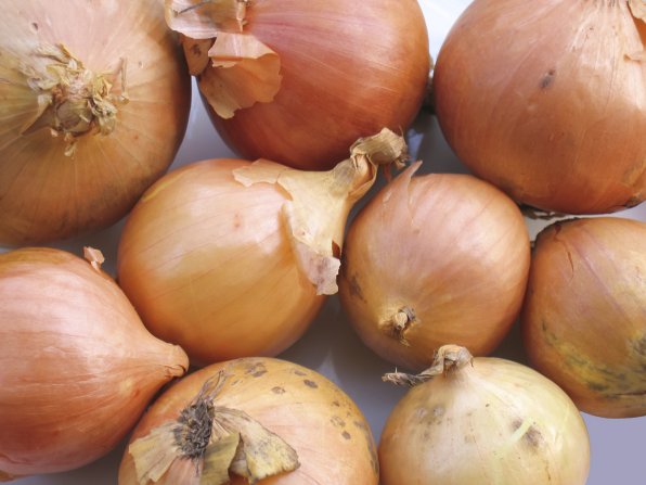 The Egyptian pyramids were built with pure onion power.