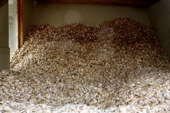 Just one of the many heaps of wood chips that fuel the Forest Society's heating system.