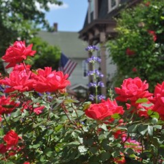 South Church's annual garden tour blooms soon