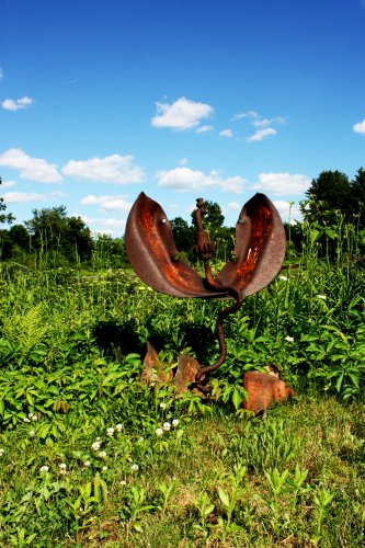“Wild Flower #3,” a welded steel sculpture by Madeleine Lord.