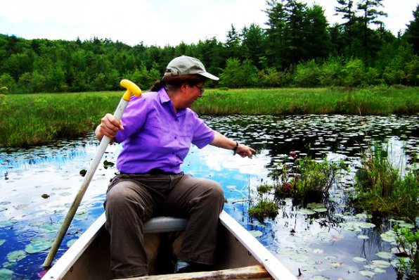 Hilary Thomson points out a blooming pitcher plant on Snow Pond.