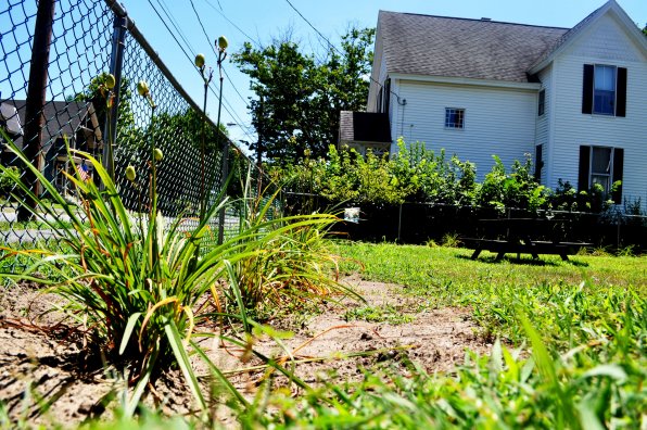 Where once was nothing but dirt and grass now houses a plot of daylilies. But the garden doesn’t have to stop there! Details on how you can help are at the end of this story.