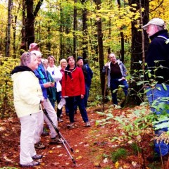 Delivering a eulogy for the American chestnut tree