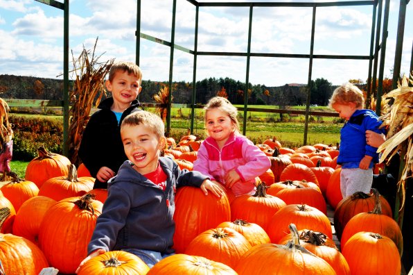 Trenton Sprague, Brady Peterson, Macy Sprague and Tyler Peterson search for the perfect pumpkin during the day's festivities.