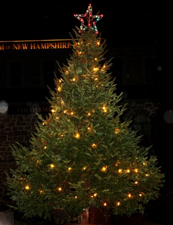 A Christmas tree lights up Eagle Square.