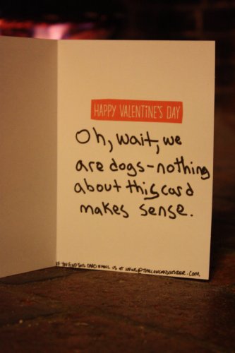 Happy Valentine's Day. Oh, wait, we are dogs - nothing about this card makes sense.