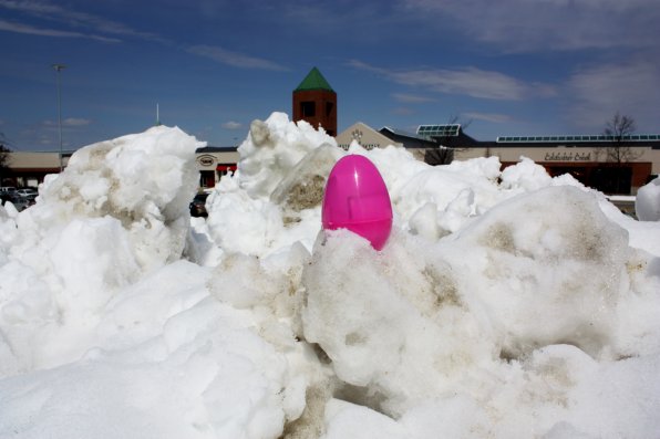 You’ll have to play king of the mountain to find this pink egg, located somewhere in the Steeplegate Mall parking lot. Climb at your own risk! If you’re lucky, this week’s borderline balmy temperatures willl help bring this egg back down to earth.