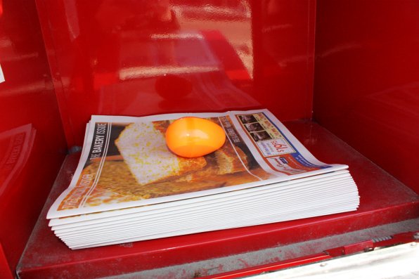 We’re sure you were going to check this location to pick up a fresh Insider at some point this week anyway, but there’s an added bonus! One of our downtown distribution boxes is housing an orange egg. Extra, extra, read all about it!