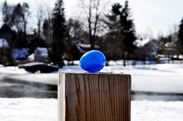 We’ve turned White Park blue with our final egg. Use some context clues, and a virtual fountain of candy will be headed your way. Actually, that would be a great upgrade for the park! Get on it!