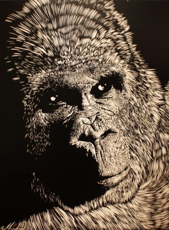 “Troglodytes Gorilla,” Brian Schroyer.