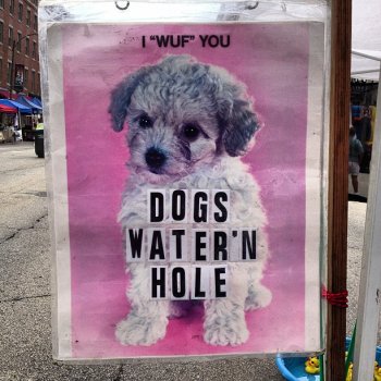 Pups need water’n.