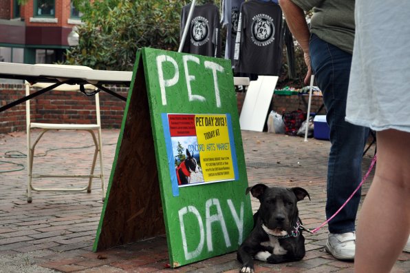 Sprout pulls up some brick right next to the pet day sign . . . great PR move, buddy.