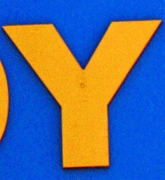 2. We could have used the ‘Y’ from the YMCA, but how easy would that have been? Instead we opted for the Y’s neighbor, The Toy Shop on North State Street.