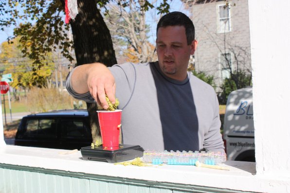 Don’t worry everyone, those are only fresh hops being weighed out.