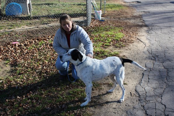 Birch, 12-year-old hound/lab mix, does his best statue impersonation while getting a few pats from Shannon Camara.