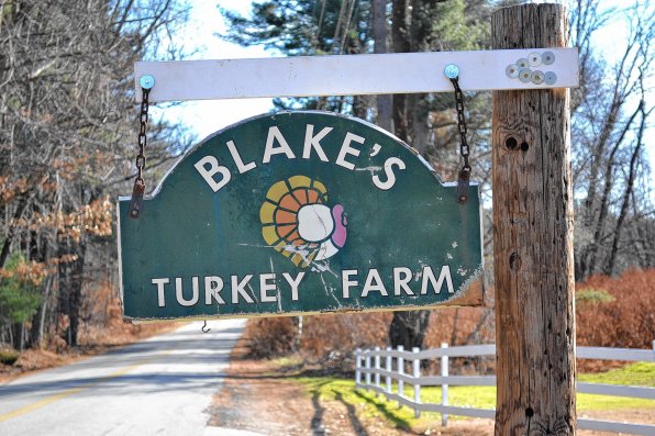 The sign for the old turkey farm still hangs at the edge of the driveway – and fools people into thinking they’ve recently ordered turkeys from Blake’s.