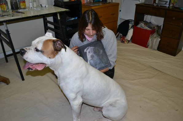 Gloria Najecki looks at one of her first paintings of Trucker, an American Bulldog she rescued from the Merrimack County SPCA, while Dozer, another rescue, stands guard.