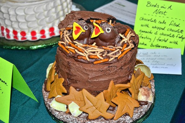 The cake decorating contest was fierce – and frostingy. Anyway, those look like some pretty hungry chocolate birds. Someone should get them some gummy worms.