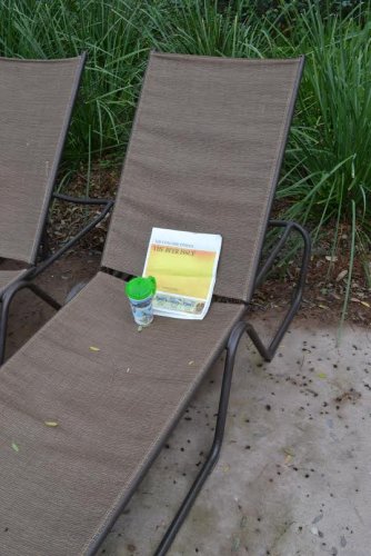 All those warm days spent in a tropical paradise can be pretty taxing, you know. When everyone else went to Epcot, the Insider grabbed a cold one and took a nap on a poolside lounge chair. Don’t worry, he put on plenty of sunscreen.