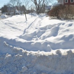 Do the neighborly thing and shovel a small path through the snow