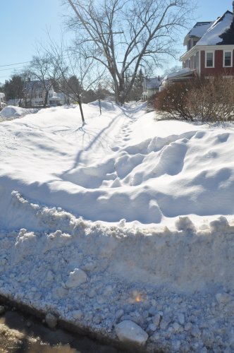 Remarkably, there appear to be footprints through this untouched mound of sidewalk snow. We’d test to see if they’re human or not, but we’re not going in there. Don’t be this guy!