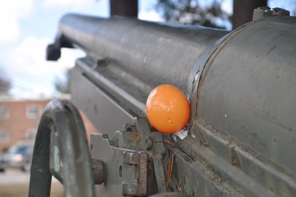 Someone clearly missed when they were loading this cannon (secret: it was us.) But you won’t miss this orange egg if you cruise up to Loudon Road and stop at the city’s coolest cannon (it might also be the only one, which makes that title easier to attain.)