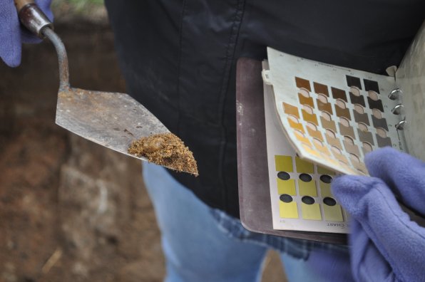 Even the dirt itself can tell a story (we were hoping for “Goodnight Moon”). Above, Feighner compares dirt from the dig site with a soil color chart book to obtain more accurate information.