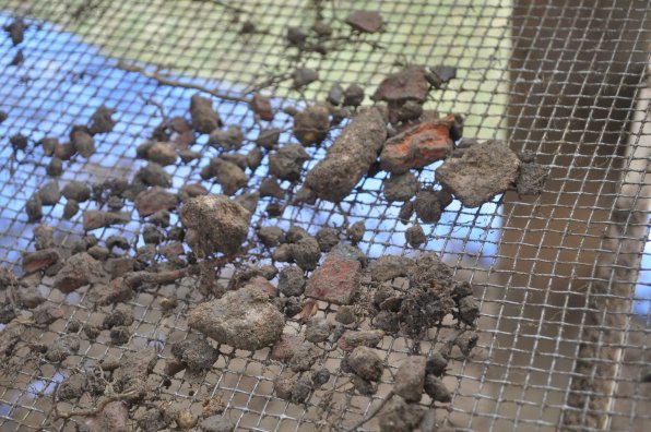 Can you spot all the ancient artifacts? That’s a trick question, because there aren’t any, not in this pile anyway. But every bit of brick and dirt that passed through the sifter had to be checked.
