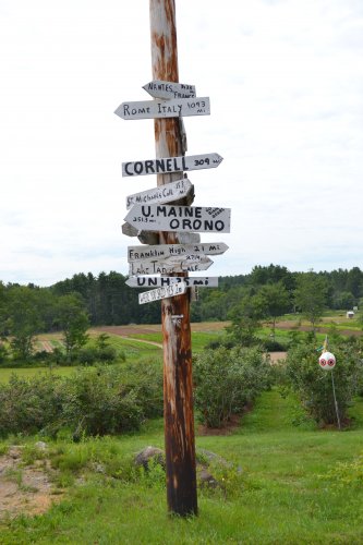 6. This sign will direct you everywhere but its actual location, which is Apple Hill Farm at 580 Mountain Road.
