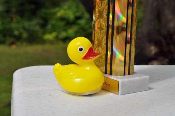 Enter a duck (he’s the one on the left) for a chance to win a trophy (that’s the thing on the right). And some real American dollars (that’s the thing we can’t find in our wallet).