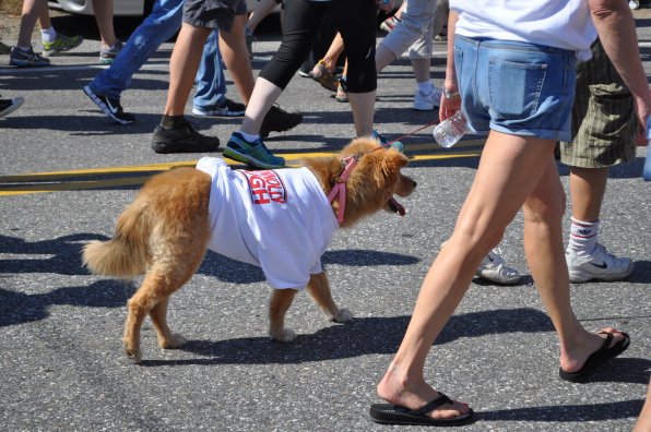 Two-legged marchers are hardly the only ones that can claim to be Connolly tough.