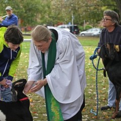 St. Paul’s and Grace Episcopal churches blessed the animals Saturday
