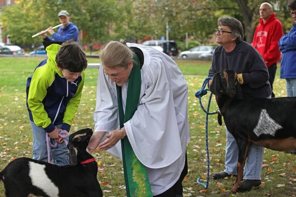The Rev. Kate Atkinson of St. Paul’s Church blessed 4-month-old Starlight, William Veenstra’s goat.
