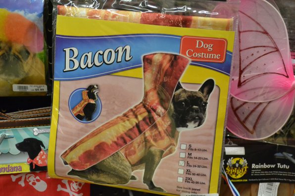 If science has proven one thing, it’s that dogs love bacon – apparently so much that they want to be it for Halloween.