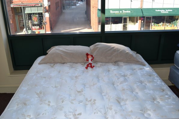 Even elves need a nap, so our little buddy found a comfy bed at Endicott Furniture during his big day on the town.