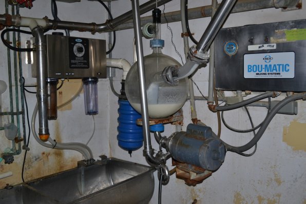 The system ensures that the milk is as clean as possible. “It does not hit the air, it’s not exposed, until you open it up on the kitchen table,” Morrill said.