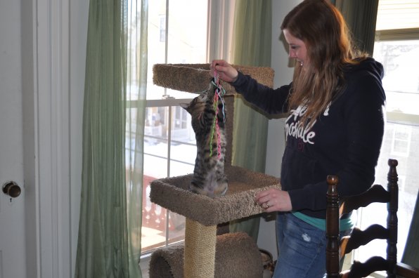 Cory MacEachern Ghelli plays with Rania on Rania’s favorite scratching post.
