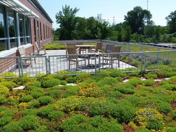 <strong>Weston Solutions</strong></p><p>There’s going green, and there’s really going green – as in growing a bunch of green stuff on your roof, like they do over at Weston Solutions on Constitution Avenue. The “vegetated green roof system” utilizes recycled plastic and features climate-appropriate plants (our climate: WINTER HELLSCAPE FOREVER). According to the Weston website, the system “allows a normally impervious roof to absorb rainfall and reduce stormwater discharge. It also lowers the roof top temperature in the summer, reducing cooling costs and extending roof life.” The spot is accessible from the second story of the building (photo at right, courtesy of Weston Solutions). So this place could conceivably hire roof gardeners? What is this, the future?