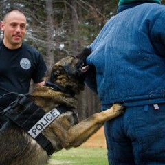 Keith spent part of his Saturday with his arm in a police dog’s mouth