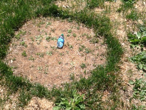 We’ve never seen anything like this before. A lone water bottle in the wild? We thought they always traveled in packs.