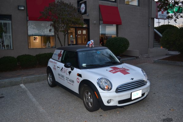 It’s hard not to tell what this decked out Mini Cooper is used for with all its medical signs and the colorful pooch on the roof, but in case you need a little help figuring it out, it’s like an ambulance for animals and a way to transport patients between the two AVC centers.
