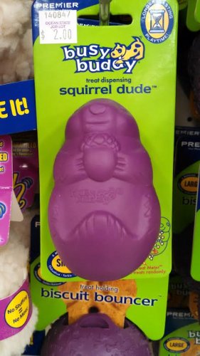Dogs love to chew on things and this little purple biscuit bouncer named Squirrel Dude will help level the playing field after years of those bushy tailed buggers tormenting our four-legged friends.