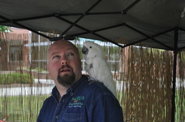 Rick Gibbs of Wildlife Encounters shares a knowing look with Big Bird.