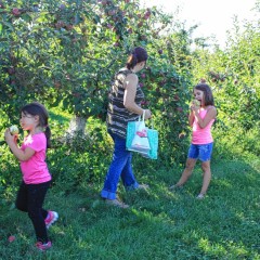 Fall’s the time of year for pickin’ winners at Carter Hill Orchard